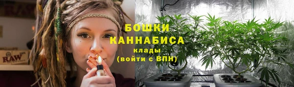 мет Карпинск