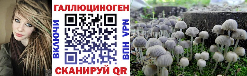 Галлюциногенные грибы Cubensis  Купить где  Верхняя Салда 
